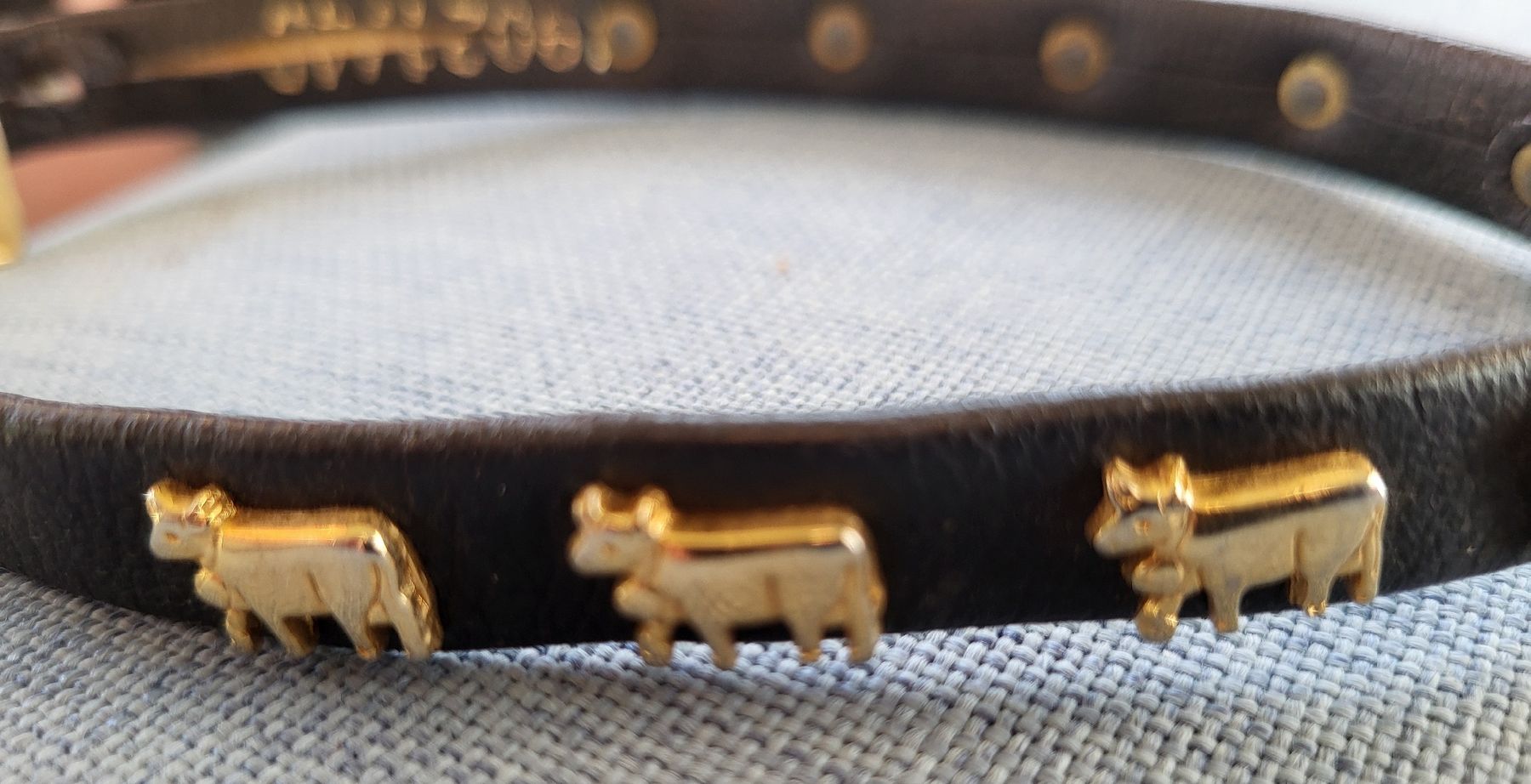 Nastri decorativi: Hundehalsband mit Chueli – Usato da Gutenswil venduto da ghekko88