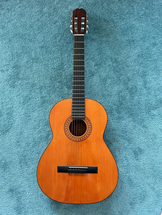 Gitarre | Kaufen auf Ricardo