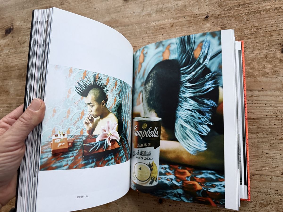 Libri: Shanghight Love Hate Punk, Bildband – Usato da Ennetbaden venduto da mapa05 7