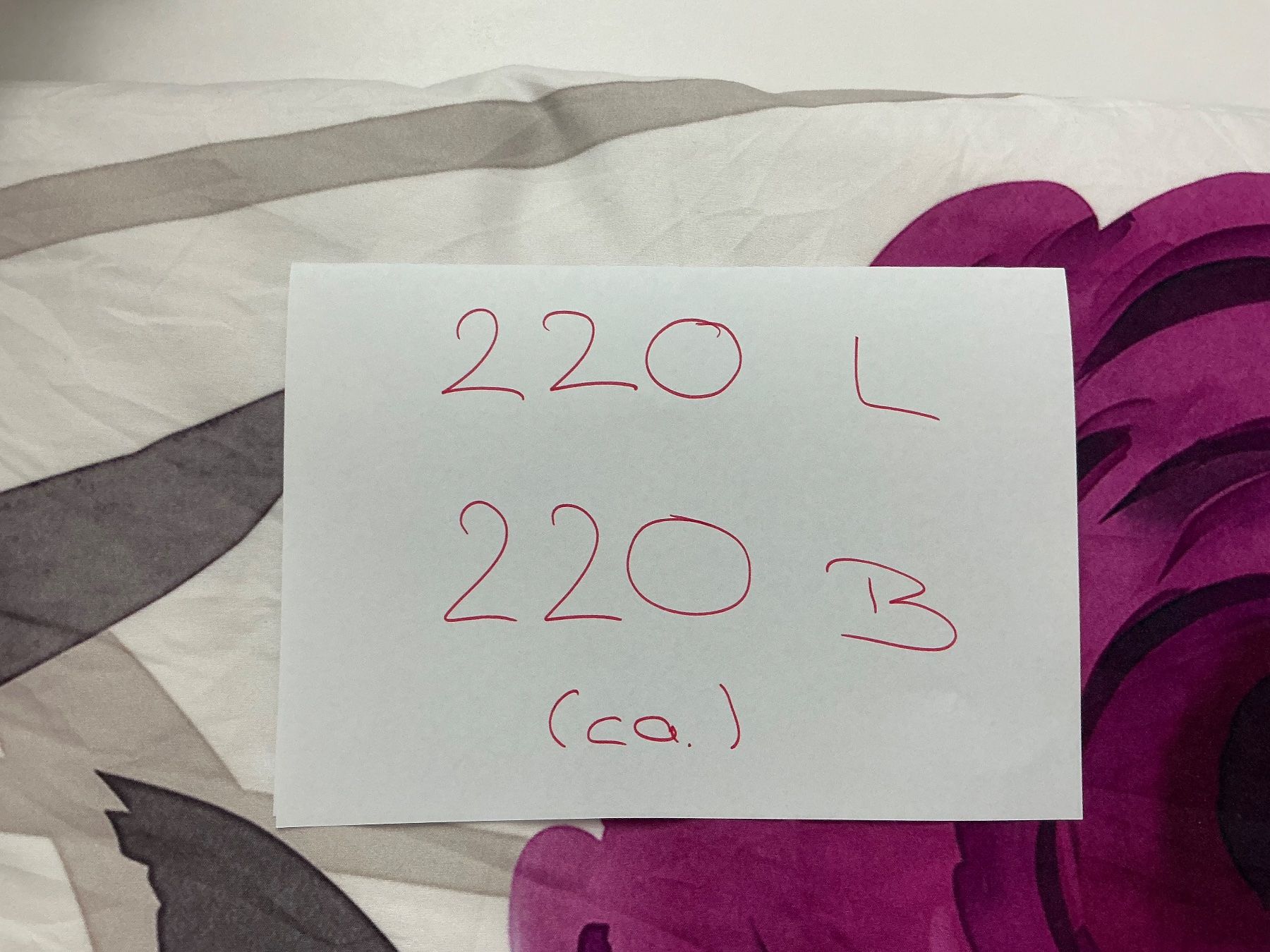 Biancheria da letto: 100% Polyester -  1 x BETTWÄSCHE - Duvet-Bezug – Usato da Bremgarten AG venduto da Streify 2