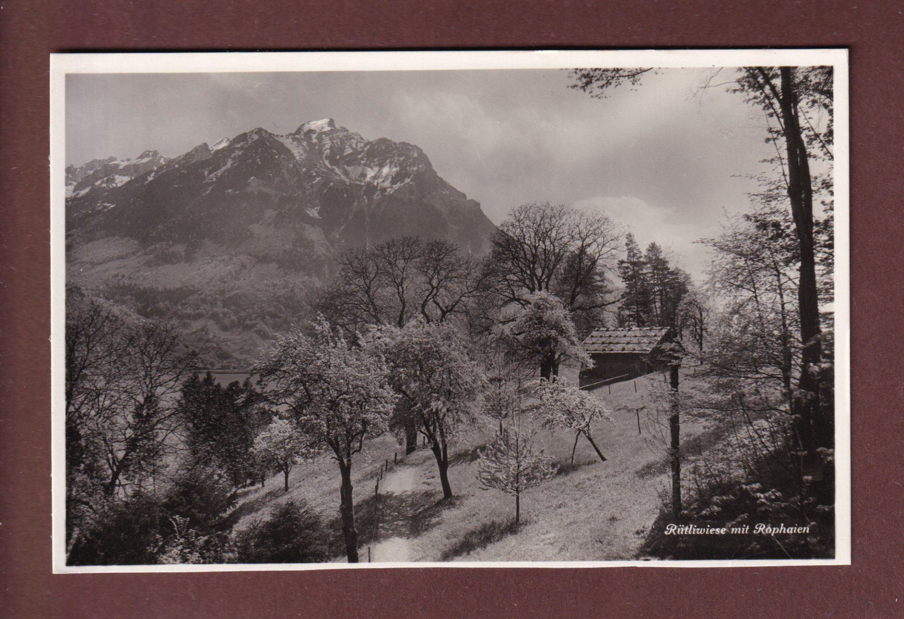 Cartoline postali: RÜTLIWIESE mit Rophaien – Usato da Pully venduto da nicecards-shop