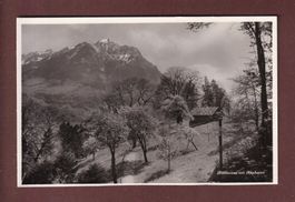RÜTLIWIESE mit Rophaien