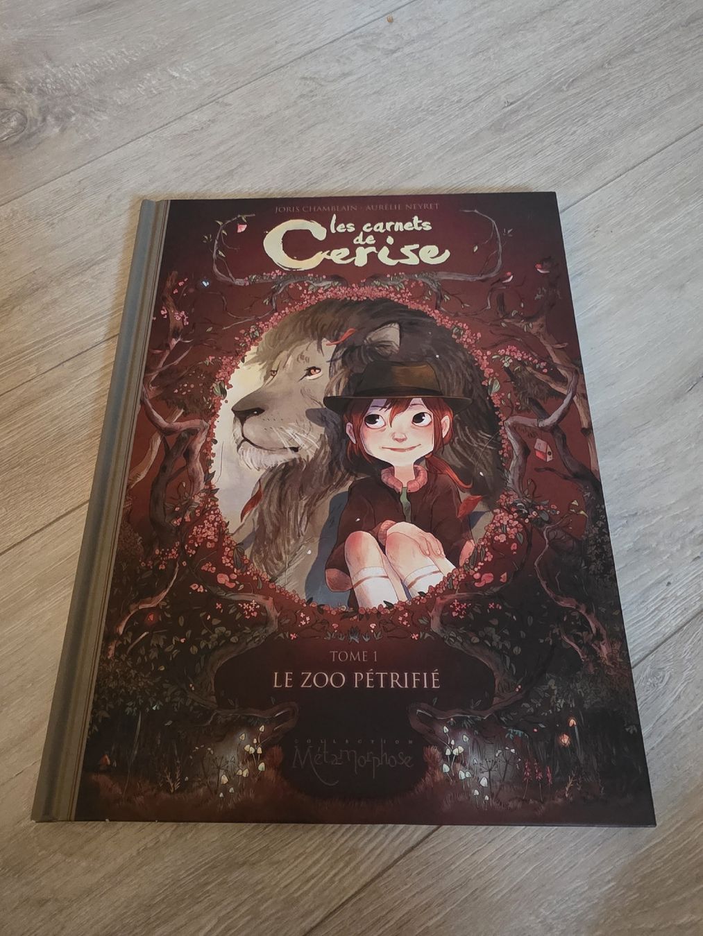 BD: Les Carnets de Cerise comic – Neuf (Voir description) à Wigoltingen par Zuckerfee84
