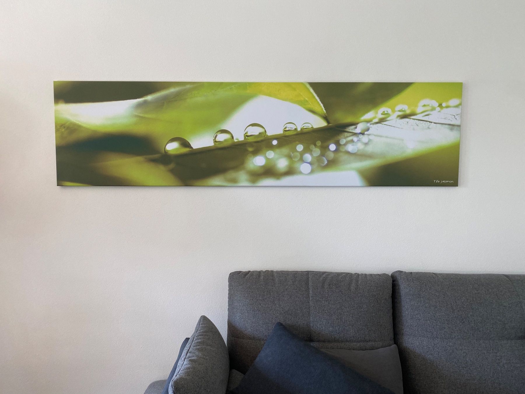 Foto & Immagini: Leinwand Bild 195 x 50 cm - Téo Jasmin – Usato da Nänikon venduto da Rogerscherrer 3