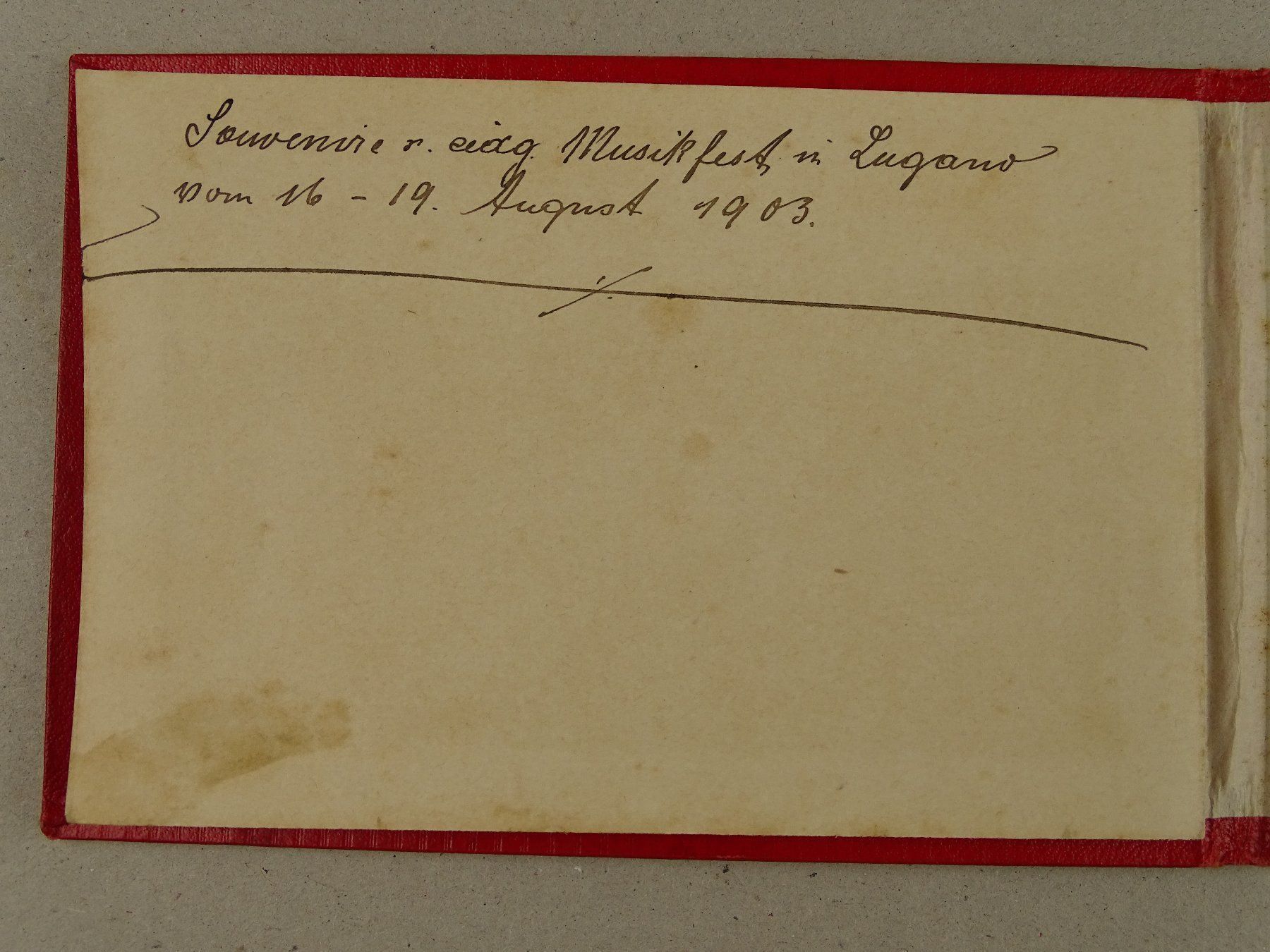 Bücher: LEPORELLO LAGO DI LUGANO, UM 1900 – Gebraucht aus Grüningen von Kartensammler 6