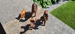 Krippenfiguren aus Holz