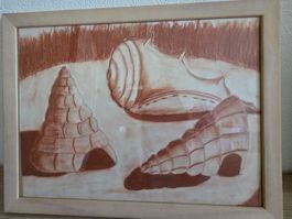 Kunsthandwerk: Original Zeichnung Meeresschnecken Holzrahmen