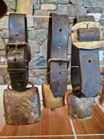 Ziegen-Schaftreicheli