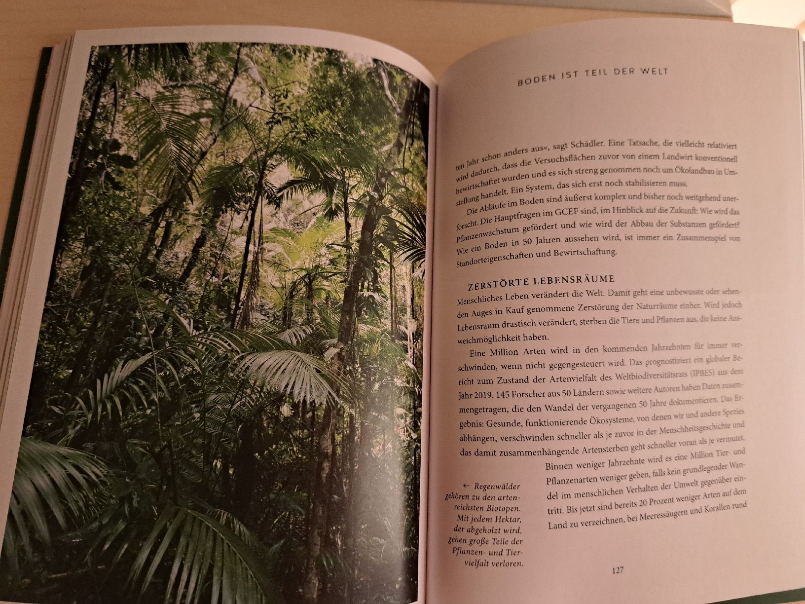 Libri: Buch "Der Boden"  G|U  Ina Sperl – Nuovo (secondo la descrizione) da Uzwil venduto da eri_lz5x 3