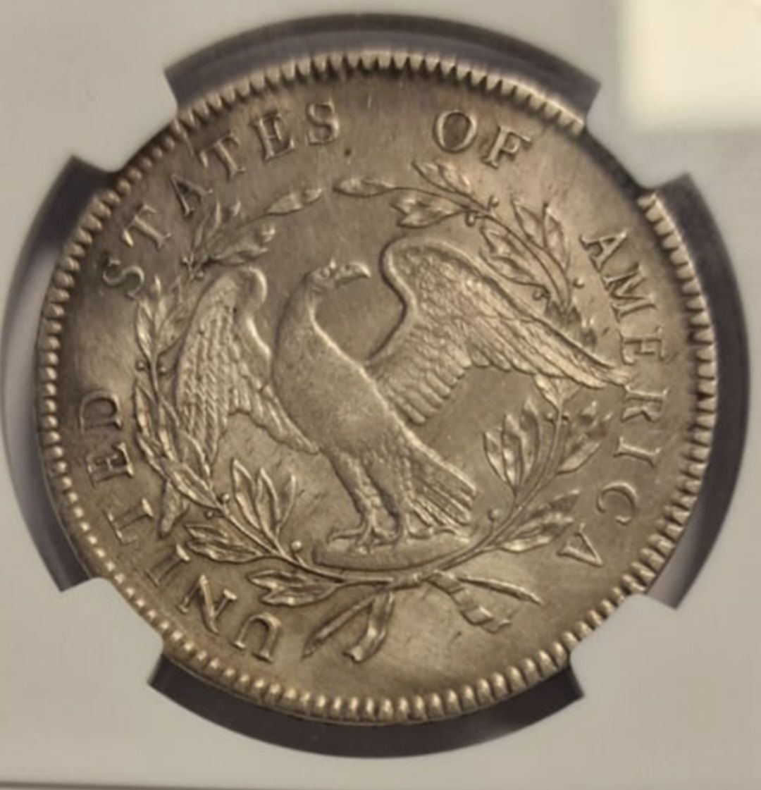 Tutti le monete: 1 Dollar Flowing Hair 1795 – Nuovo (secondo la descrizione) da Nyon venduto da FrodoSkywalker 2