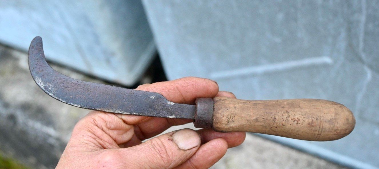 Tutti gli attrezzi: ANTIKE Handsichel Länge ca. 22cm – Usato da Pfaffhausen venduto da mono_rec 2