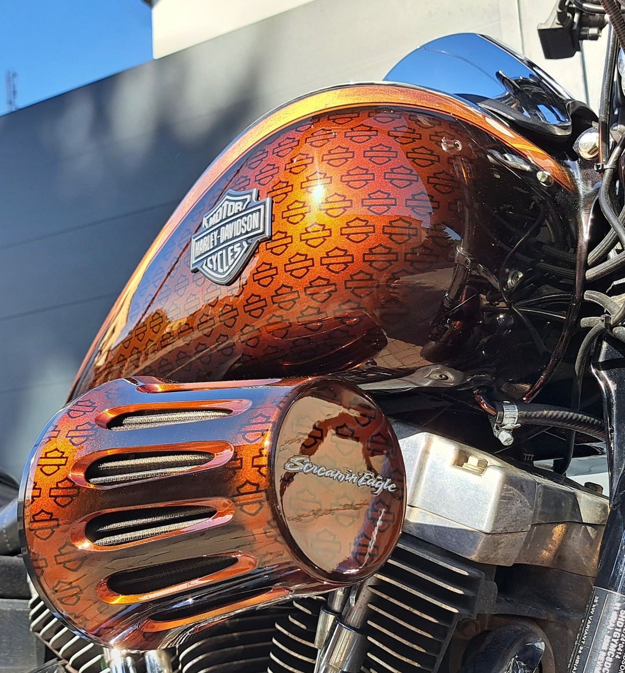 Harley-Davidson Chopper: Harley-Davidson FXDF 103 Dyna Fat Bob – Usato da Oensingen venduto da kot_v5y8 2