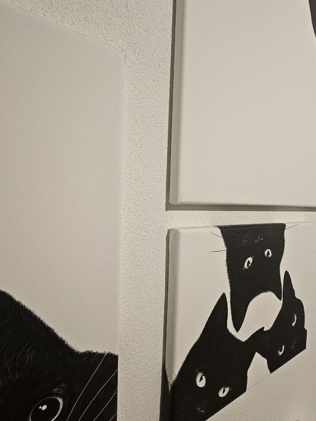 Foto & Immagini: Katzenbilder-Set, Leinwand auf Holzrahmen – Usato da Mönchaltorf venduto da Virus79 2