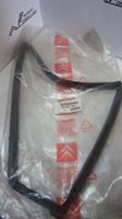 Citroën BX Türscheibendichtung hinten links 95637641