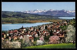AK Beinwil am Hallwilersee, Gesamtansicht mit den Alpen