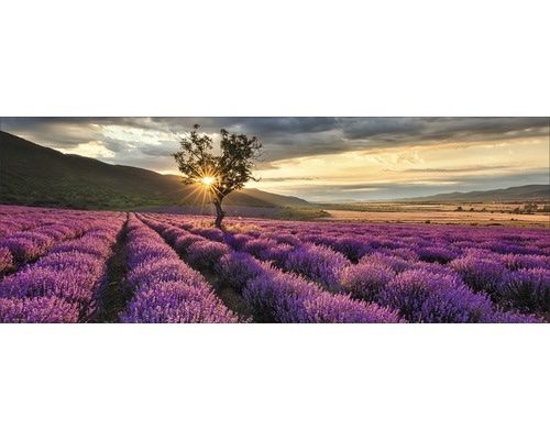 Posters & Illustrations: Glasbild 125 x 50 cm – D'occasion à Wollerau par rfi_k2h5