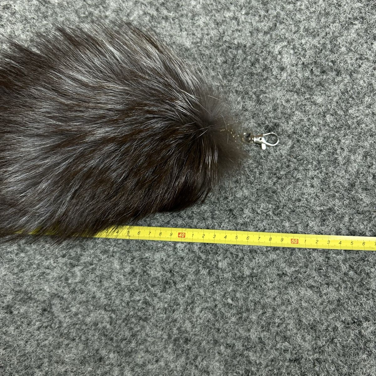Welt der Tiere: Grey fox Keyed  – Neu (gemäss Beschreibung) aus La Sagne NE von Matlasape 2
