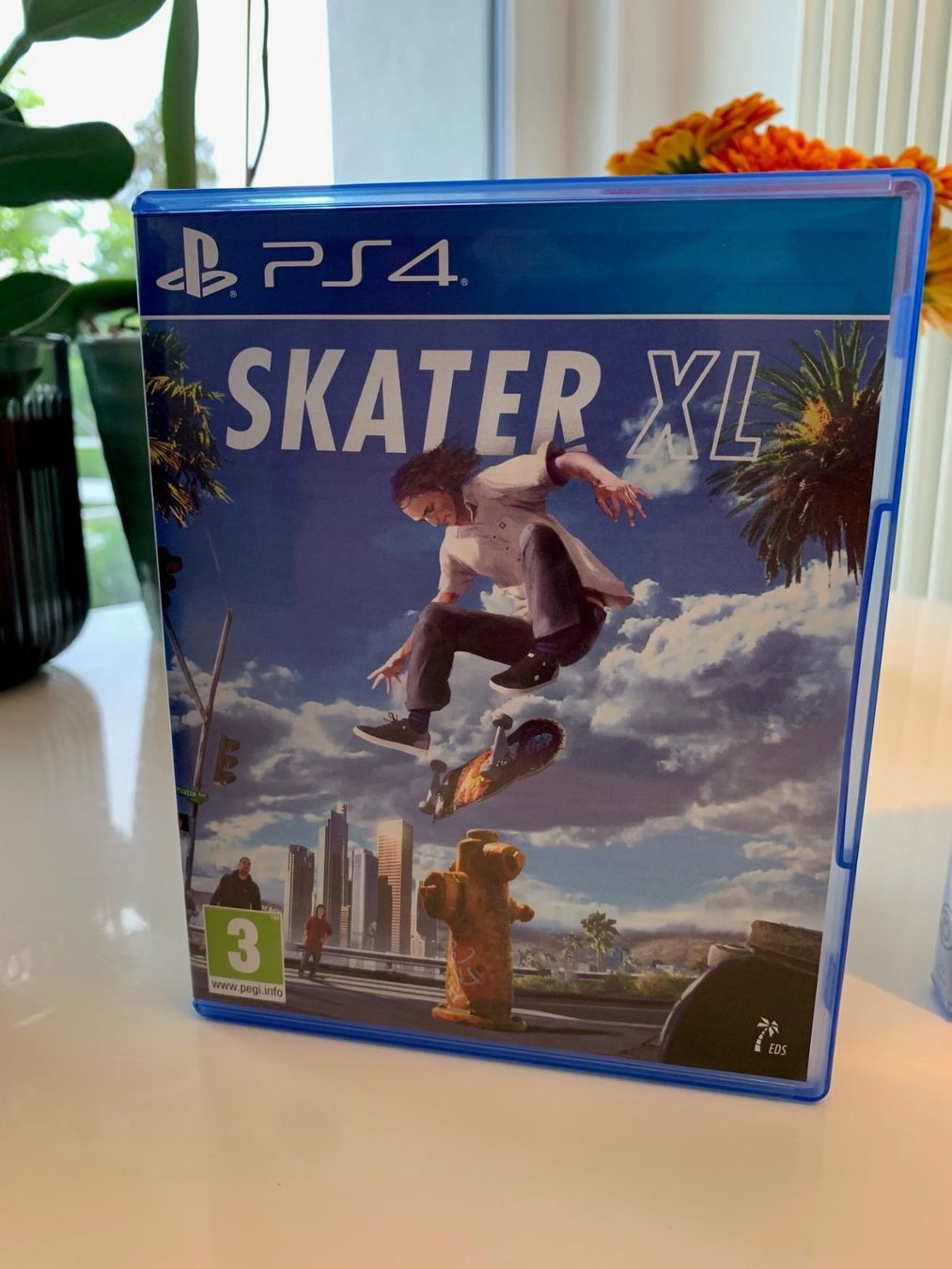 Sony Giochi: Jeux Skater XL PS4 – Usato da Bussigny venduto da Gadz10