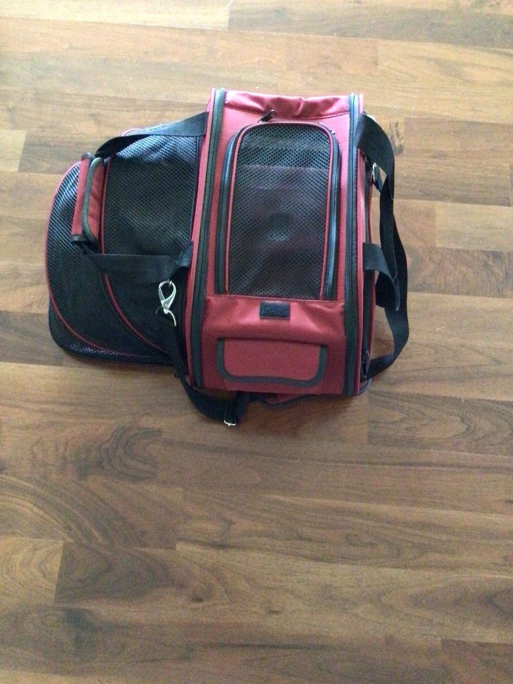 Cucce & Letti: Hunde–Transporttasche. – Usato da Zürich venduto da ElarmariodeRuth 2