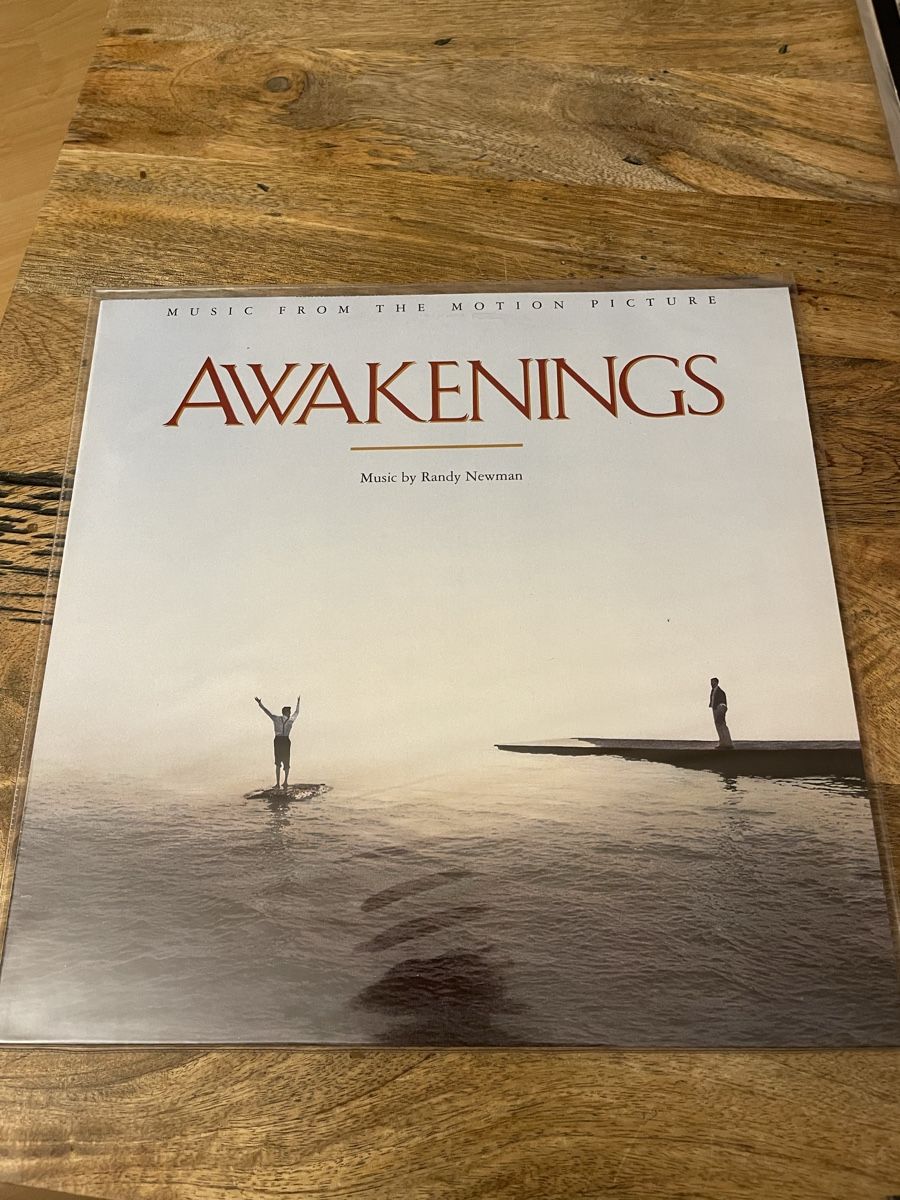 Dischi in vinile: Awakening - Randy Newman – Usato da Hombrechtikon venduto da baersandro