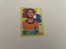 FIFA WM 2026 Cody Gakpo NED 20