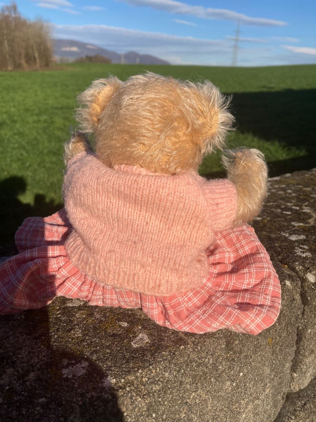 Giocattoli: Teddy Teddybär mit handgestricktem Pullover+Jupe handgenäht – Usato da Subingen venduto da Etageren 5