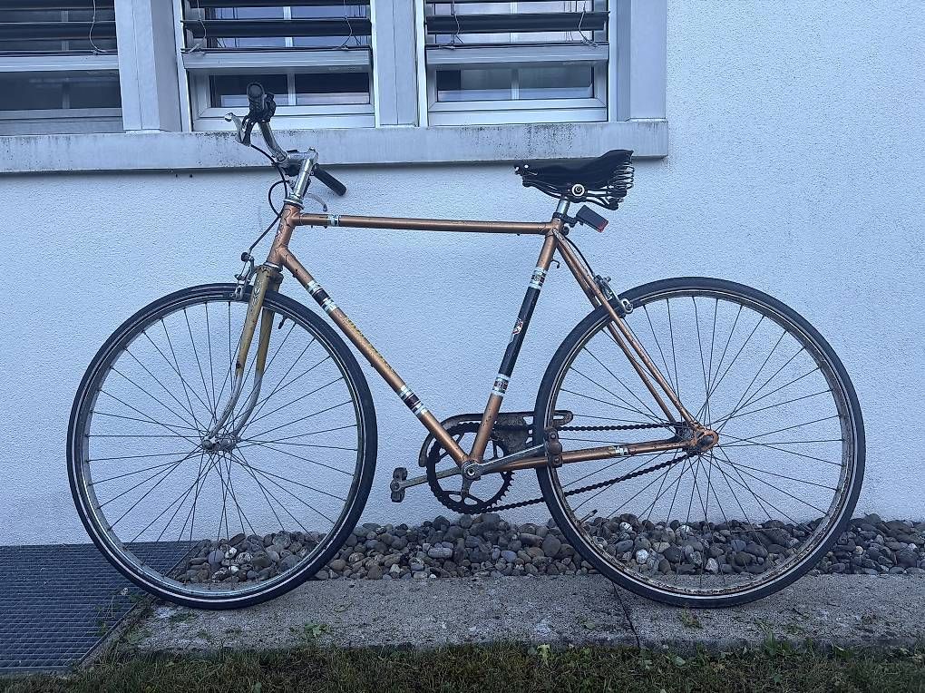 Biciclette: Singlespeed Velo Stadtvelo Rennvelo – Usato da Rüschlikon venduto da kat_td6h