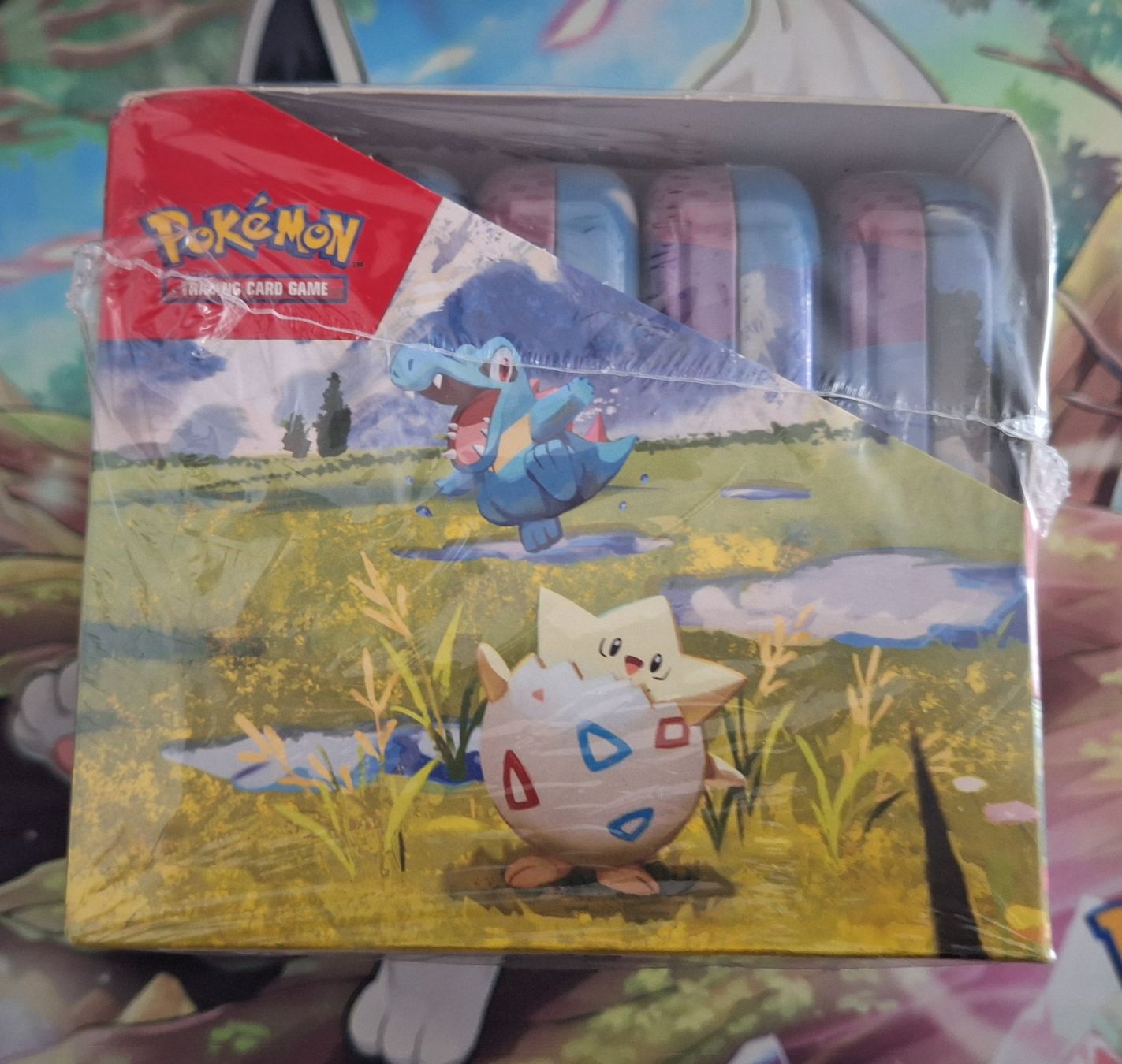 Pokémon Carte collezionabili: Pokemon Mini Tin Display Ascended Heroes EN – Nuovo e nell'imballaggio originale da Naters venduto da poketrade11 2