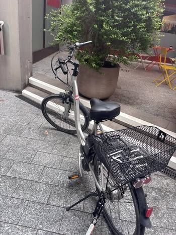 Canyon Biciclette: Ebike ink Akku – Usato da Jona venduto da SaF0da 1