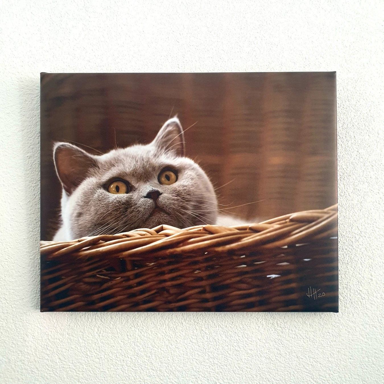 Poster & Bilder: British Shorthair Katze auf Leinwand – Neu (gemäss Beschreibung) aus Basel von HNDidn