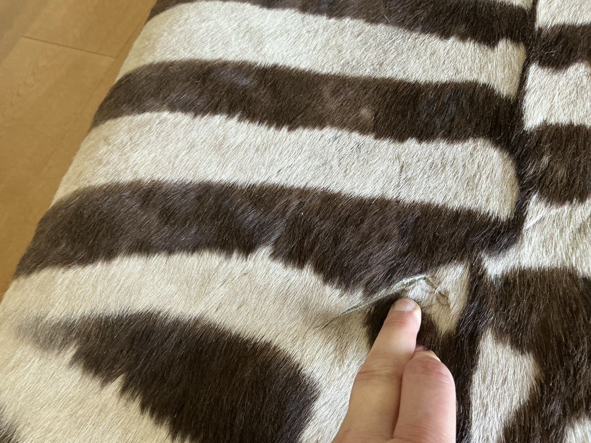 Sgabelli: Zebrafell original Hocker – Usato da Wetzikon ZH venduto da Uturn4 8