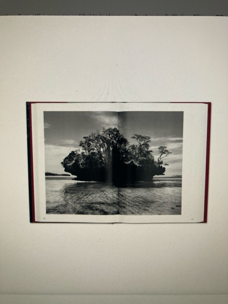 Bücher: Genesi libro Sebastiao Salgado – Neu und originalverpackt aus lugano von Orsetta 2