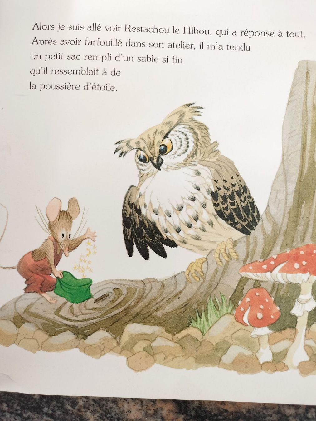 Libri: La véritable histoire du Marchand de Sable – Usato da Cortaillod venduto da rozinna 5