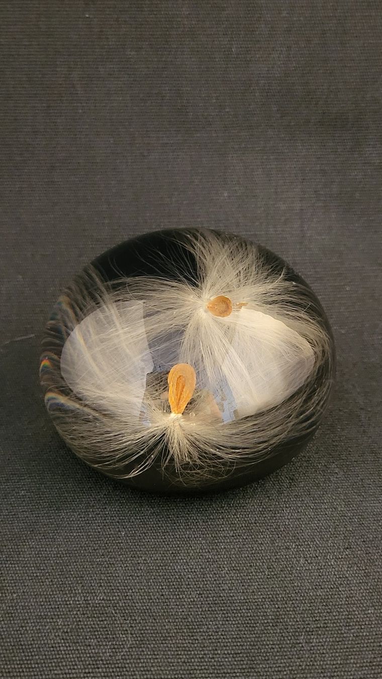 Statuette: Paperweight mit Pusteblumen – Usato da Basel venduto da spinne02 3