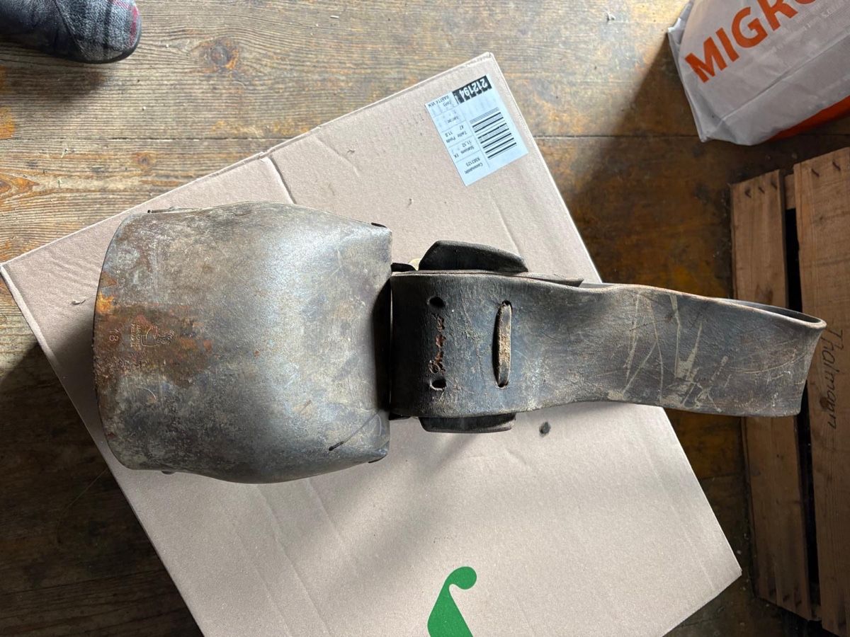 Campanacci mucche: Varone Nr 18 Treichel – Usato da Menzingen venduto da Edelmuni7 1