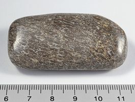 Fossiler Dinosaurier Knochen Stein 55mm 35 Gramm