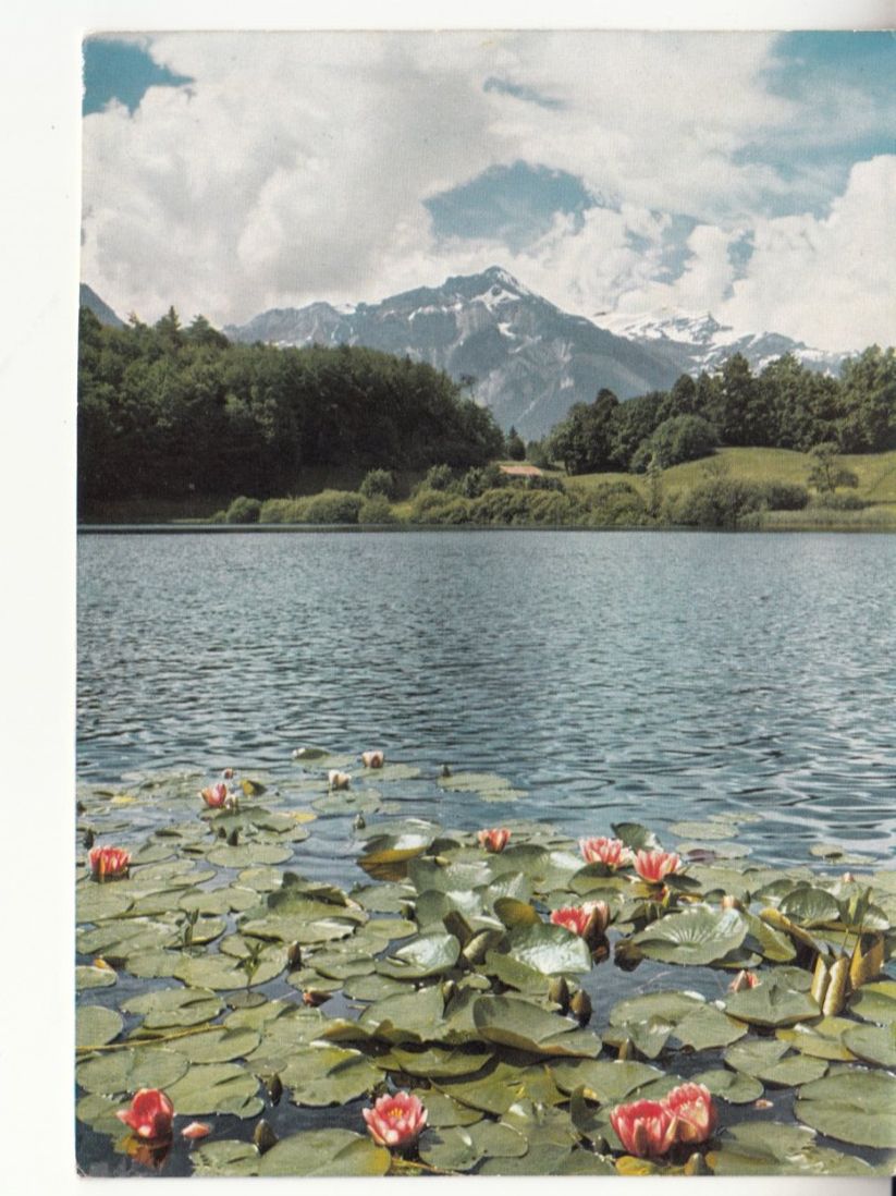 Cartoline postali: Faulenseeli ca. 1970 – Usato da Bürglen TG venduto da StampGraf