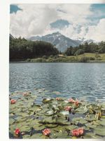 Faulenseeli ca. 1970