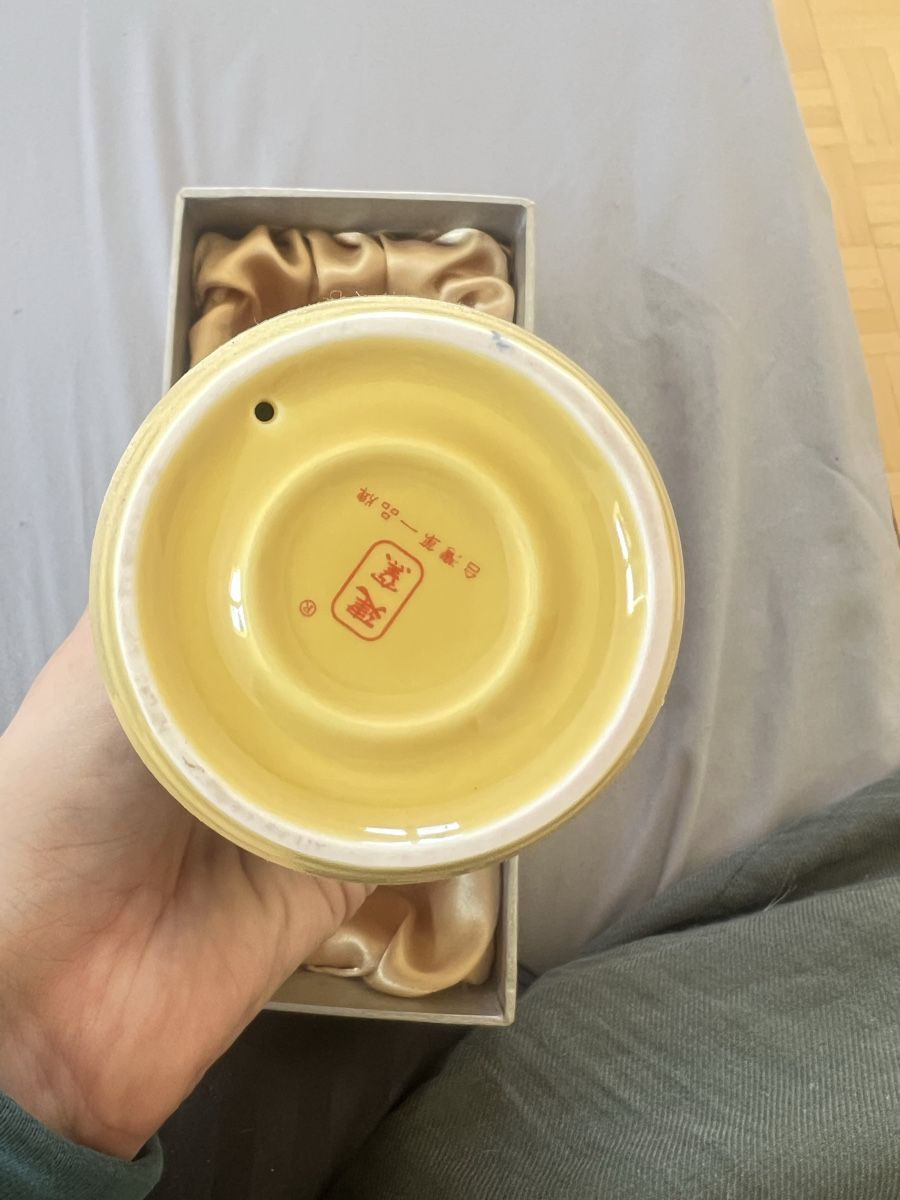 Teiere: Thermo Becher mit Drachen Design - wie Neu – Nuovo (secondo la descrizione) da Wil SG venduto da bor_7ykb 1