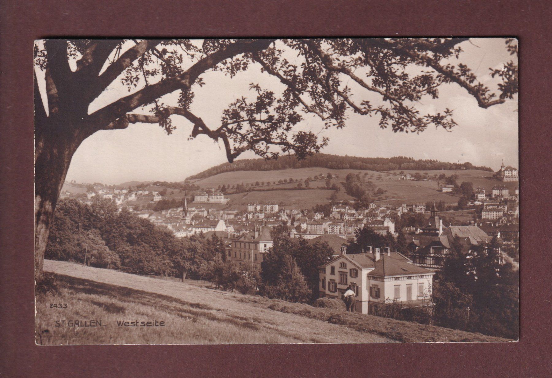 Cartoline postali: ST. GALLEN - West Seite - 1915 – Usato da Pully venduto da nicecards