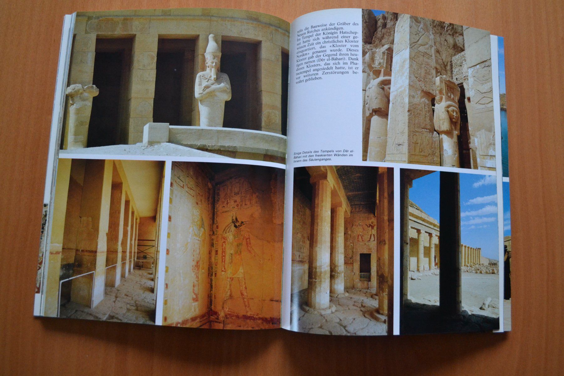 Libri: Ganz Aegypten 126 Seiten – Usato da Beinwil am See venduto da kajak55 5