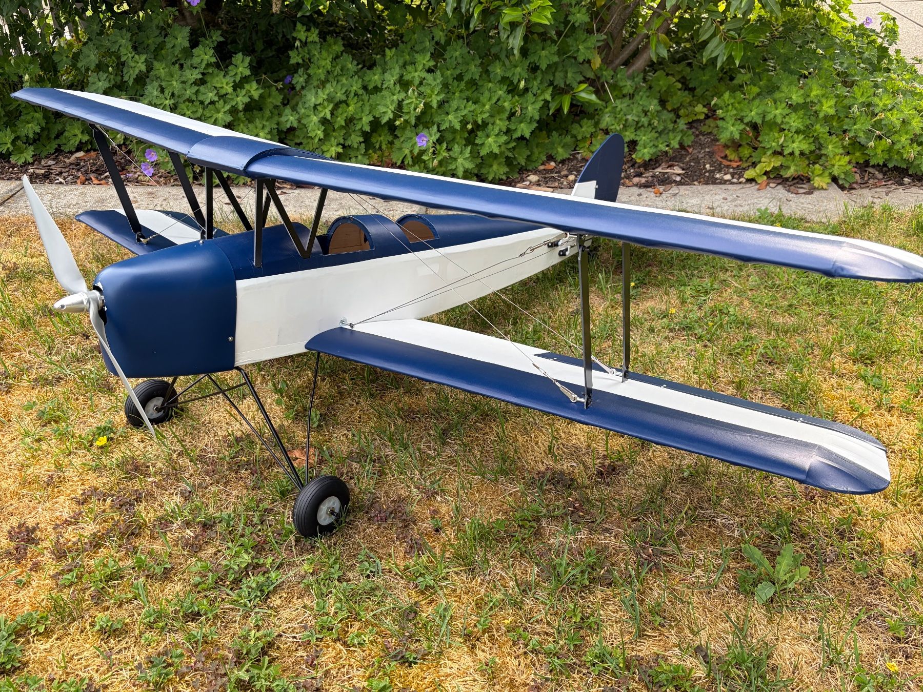 Modellismo RC: Tiger Moth 140cm Spannweite – Usato da Knonau venduto da Cirrus7