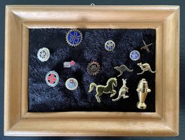 Anstecknadeln Pin Konvolut Sammlung Rahmen Deko Sammler
