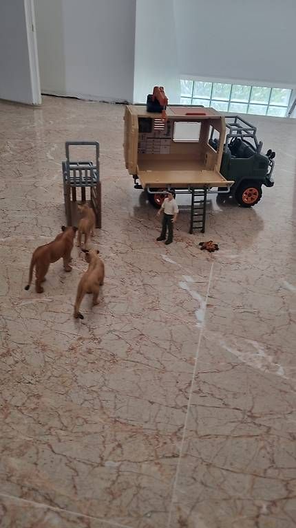 Giocattoli: Camion Wild Life  – Usato da St-Sulpice VD venduto da rog_c28g