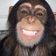Profile image of Tschabba