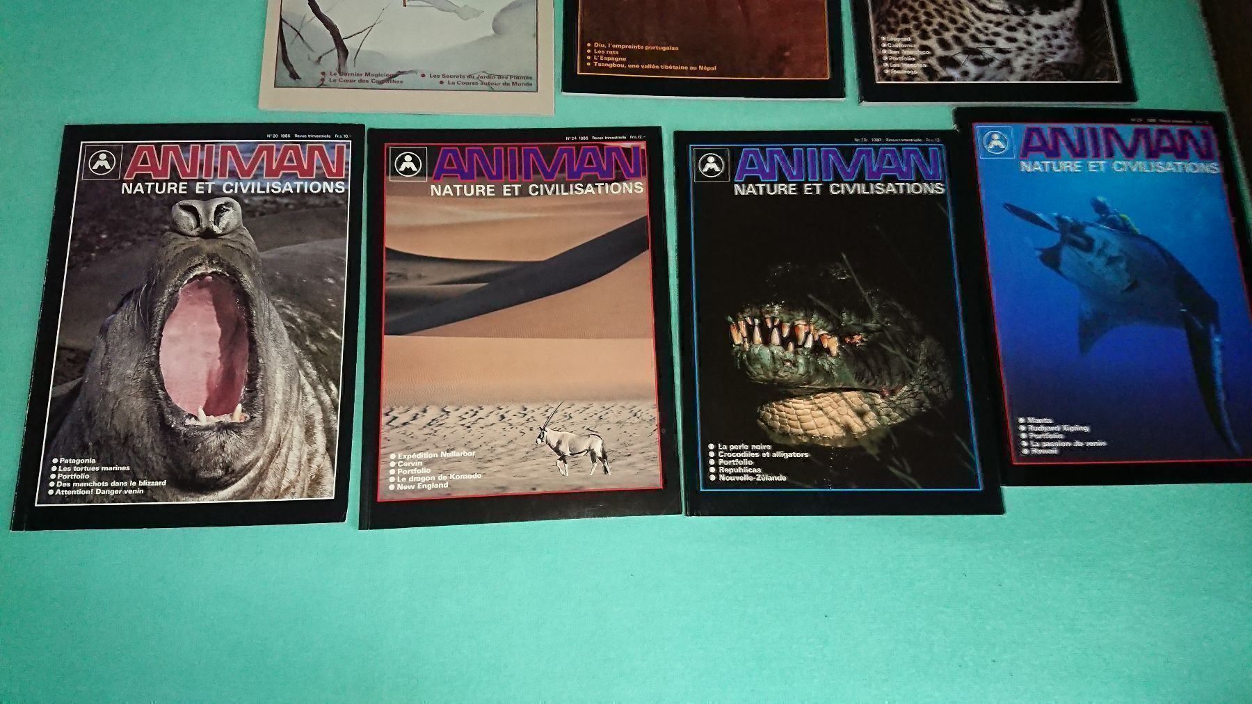 Riviste & Magazine: Animan / 7 Magazines – Usato da Cortaillod venduto da signep 8