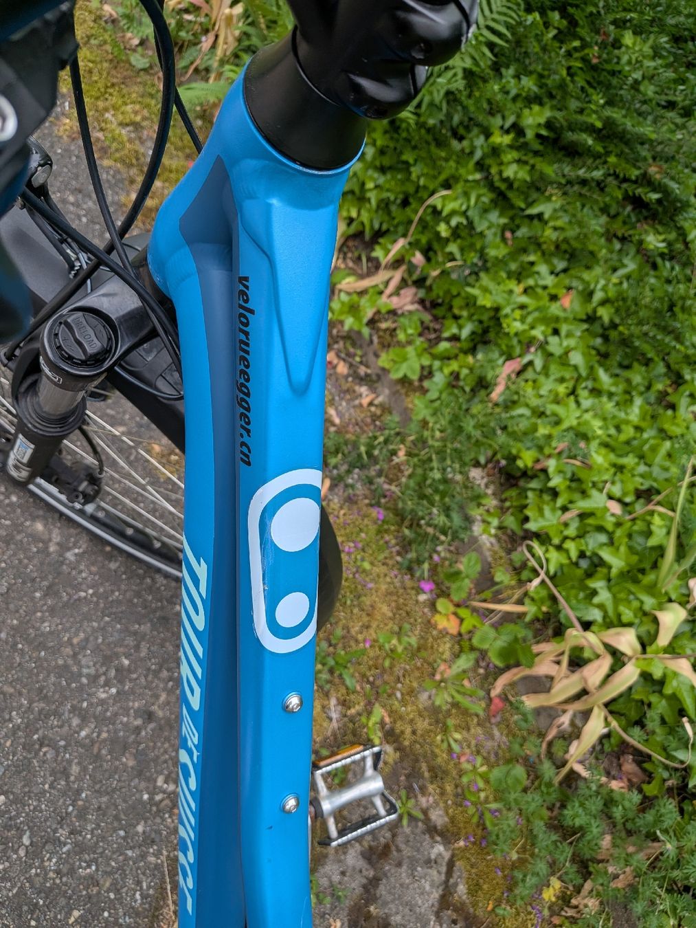 Tour de Suisse Velos: Tour de Suisse Toxx Trapez – Gebraucht aus Bottighofen von oscar_wilde 6