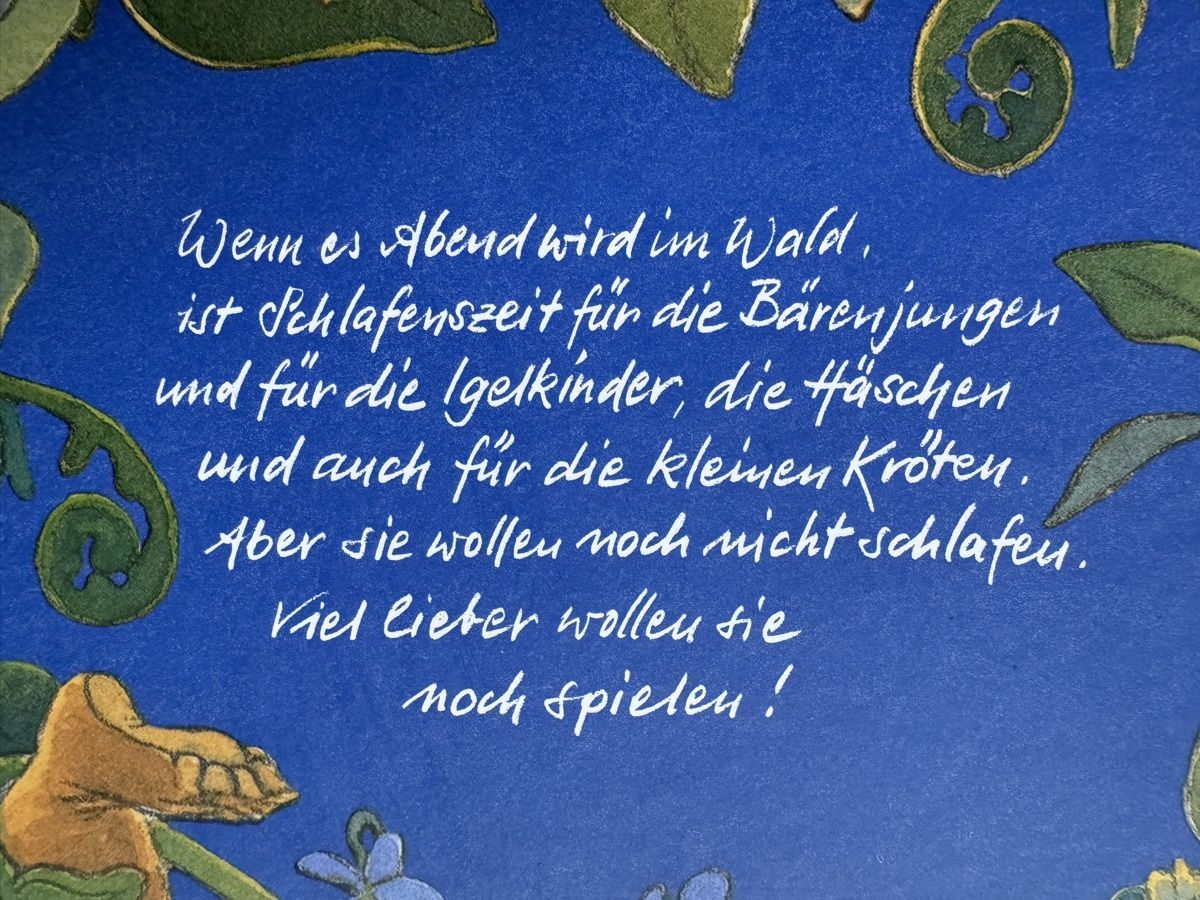 Livres: Bilderbuch - Wenn es Abend wird im Wald – Neuf (Voir description) à Aarau par Kilauea 1
