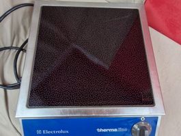 Elektrolux Gastro Induktions Herdplattte Vario
