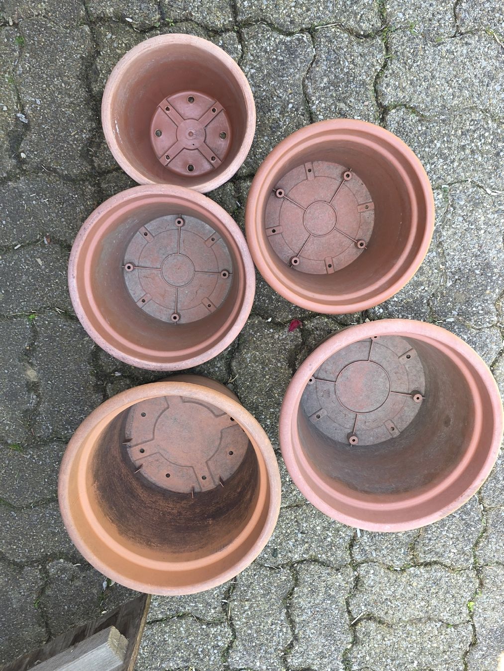 Vasi per fiori: Plastic Plant Pots - Various Sizes for Your Garden! – Usato da Hinwil venduto da Ehretstock8 1